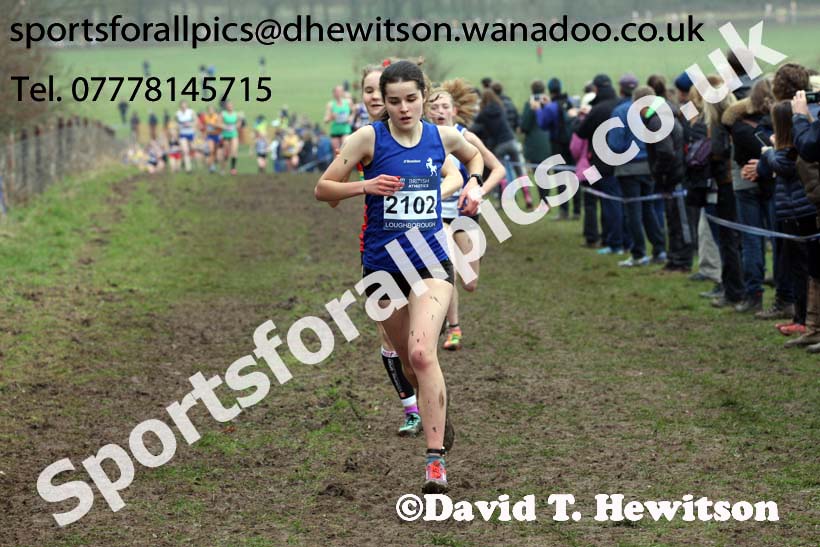 Womens under-17s Inter Counties Cross Country, Prestwold Hall, Loughborough. Photo: David T. Hewitson/Sports for All Pics